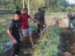 Pentingnya Ketahanan Pangan: Yonif 301/Pks Sumedang Perkuat Ketersediaan Pangan Lokal Ketahanan Pangan, Yonif 301/Pks, Sumedang, Ketersediaan Pangan Lokal